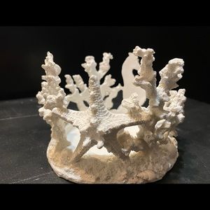 NEW White coral candle holder